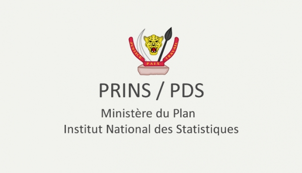 Minist&egrave;re du Plan&nbsp;: Institut National des Statistiques &ndash; PRINS / PDS